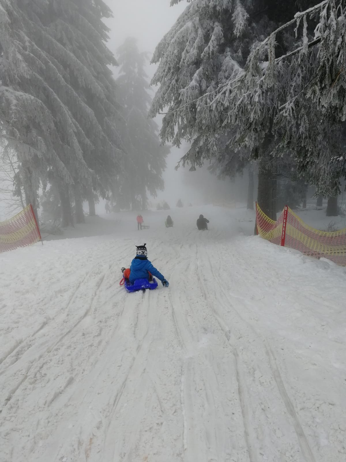 Rodeln auf der Wasserkuppe