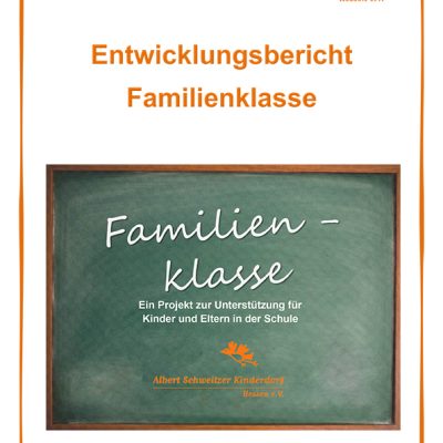 Entwicklungsbericht Familienklasse 2013-2017, Erscheinungsjahr: 2018